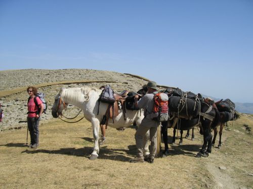 trekking con i muli-35.JPG